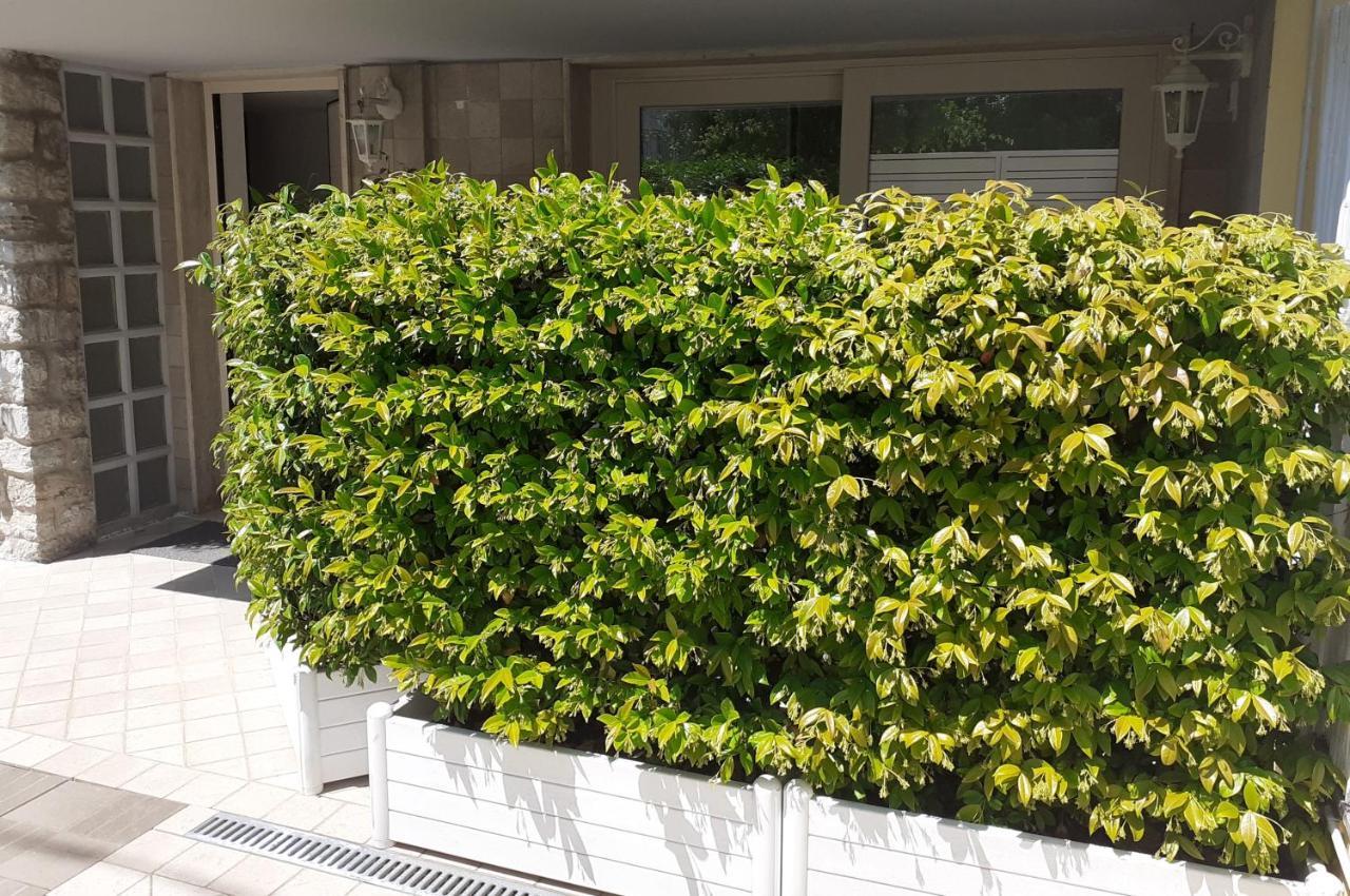 Minzoni94 - Twobedroom+Garden Lido di Camaiore Kültér fotó